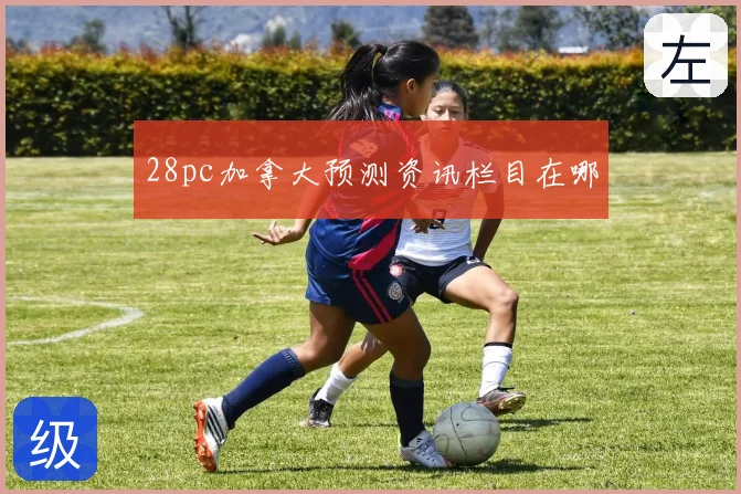 28pc加拿大预测资讯栏目在哪