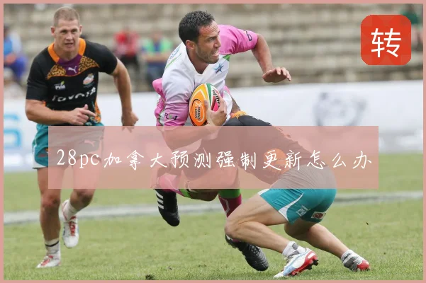 28pc加拿大预测强制更新怎么办